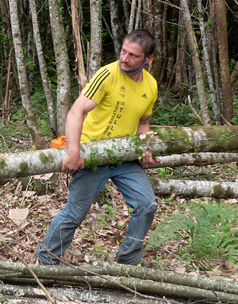 Bucheron qui rammasse un tronc