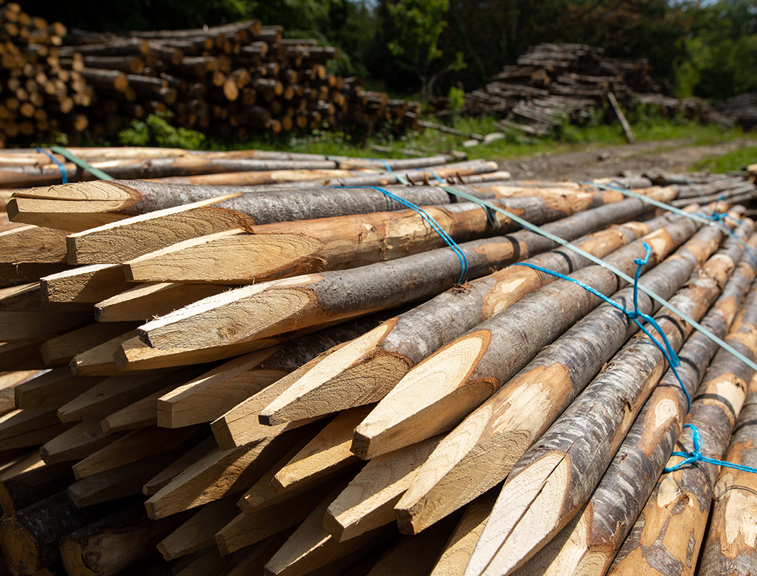 Tomato stakes chestnut